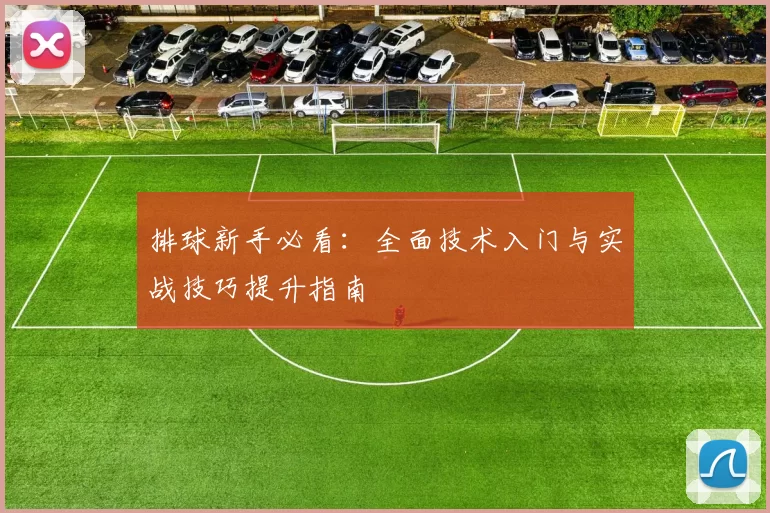 排球新手必看：全面技术入门与实战技巧提升指南