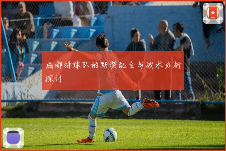 成都排球队的默契配合与战术分析探讨