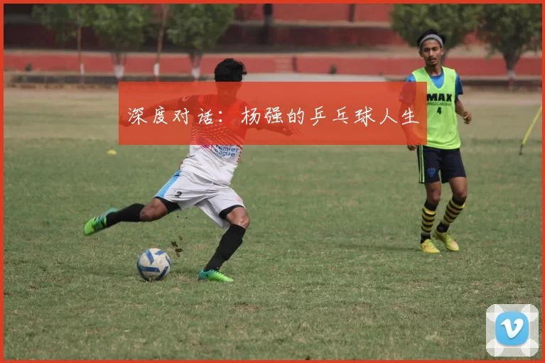 深度对话：杨强的乒乓球人生