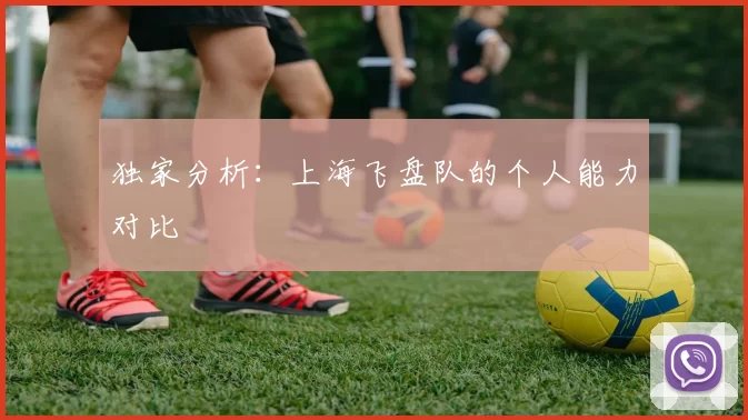 独家分析：上海飞盘队的个人能力对比