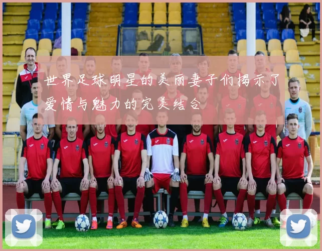 世界足球明星的美丽妻子们揭示了爱情与魅力的完美结合