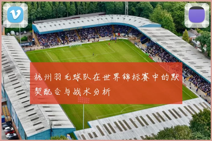 杭州羽毛球队在世界锦标赛中的默契配合与战术分析