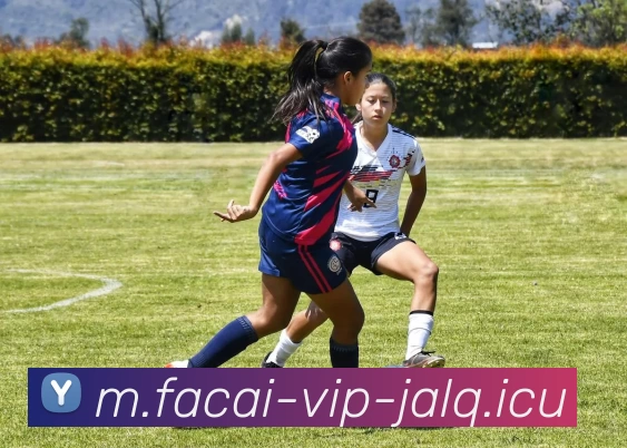 广州网球队与深圳网球队赛后分析：节奏掌控与战术对决的深度剖析